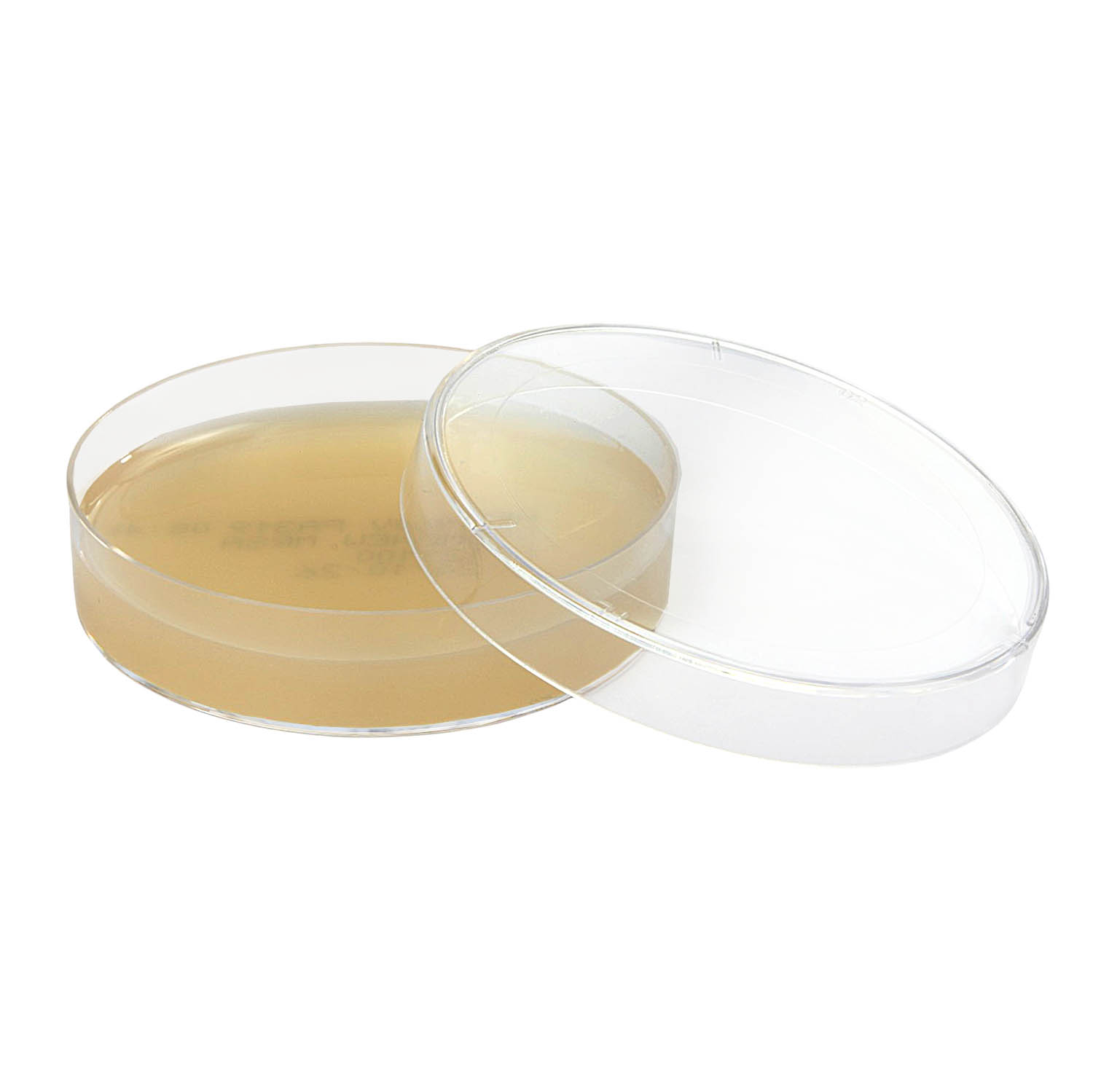Ágar Dnase Pacote com 10 placas 90 × 15 mm