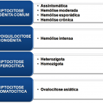 Quadro 1 - Classificação da Eliptocitose