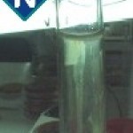 Imagem 3 - Motilidade