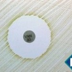 Zoom Antibiograma - 2